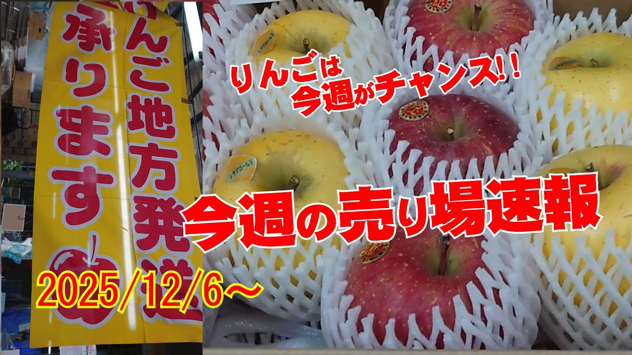 りんご!! 今週が一番のチャンス!! 品数も産地も、そして生産者も多く