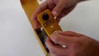 TC Electronic Ditto Looper Limited Edition Gold - What To Know