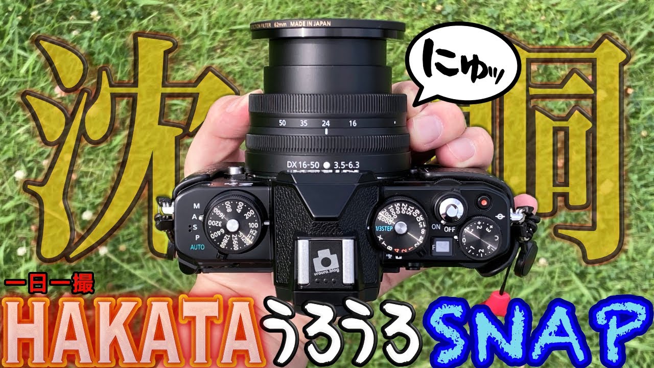 変なこだわり捨てたら神レンズだったNIKKOR Z DX 16-50mm f/3.5-6.3 VR