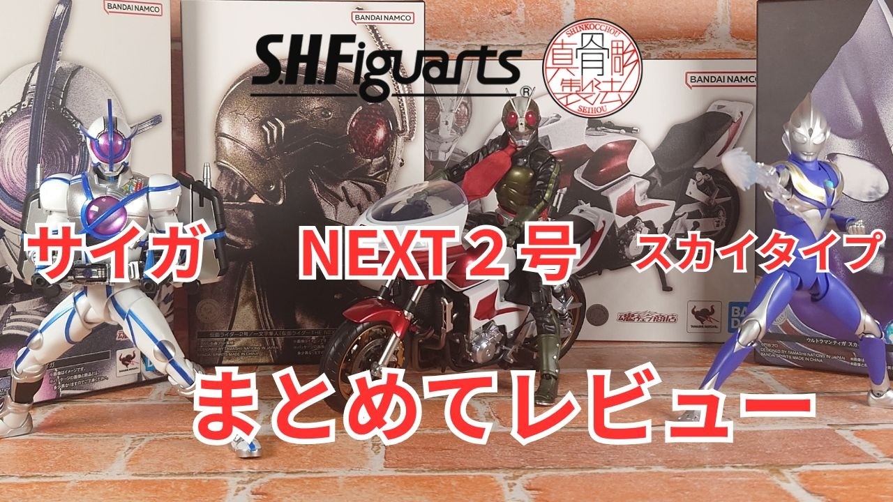 フィギュア】念願のフィギュアをまとめてレビュー,S.H.Figuarts真骨彫