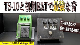 最強の歪みじゃん！】ビンテージRATとTS-10の組み合わせは神がかって