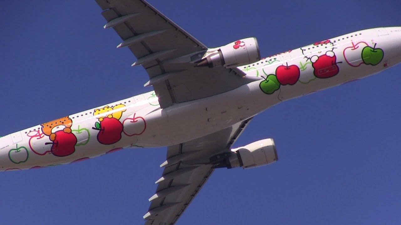 Hello Kitty Loves Apples Library - EVA Airways Airbus A330-300