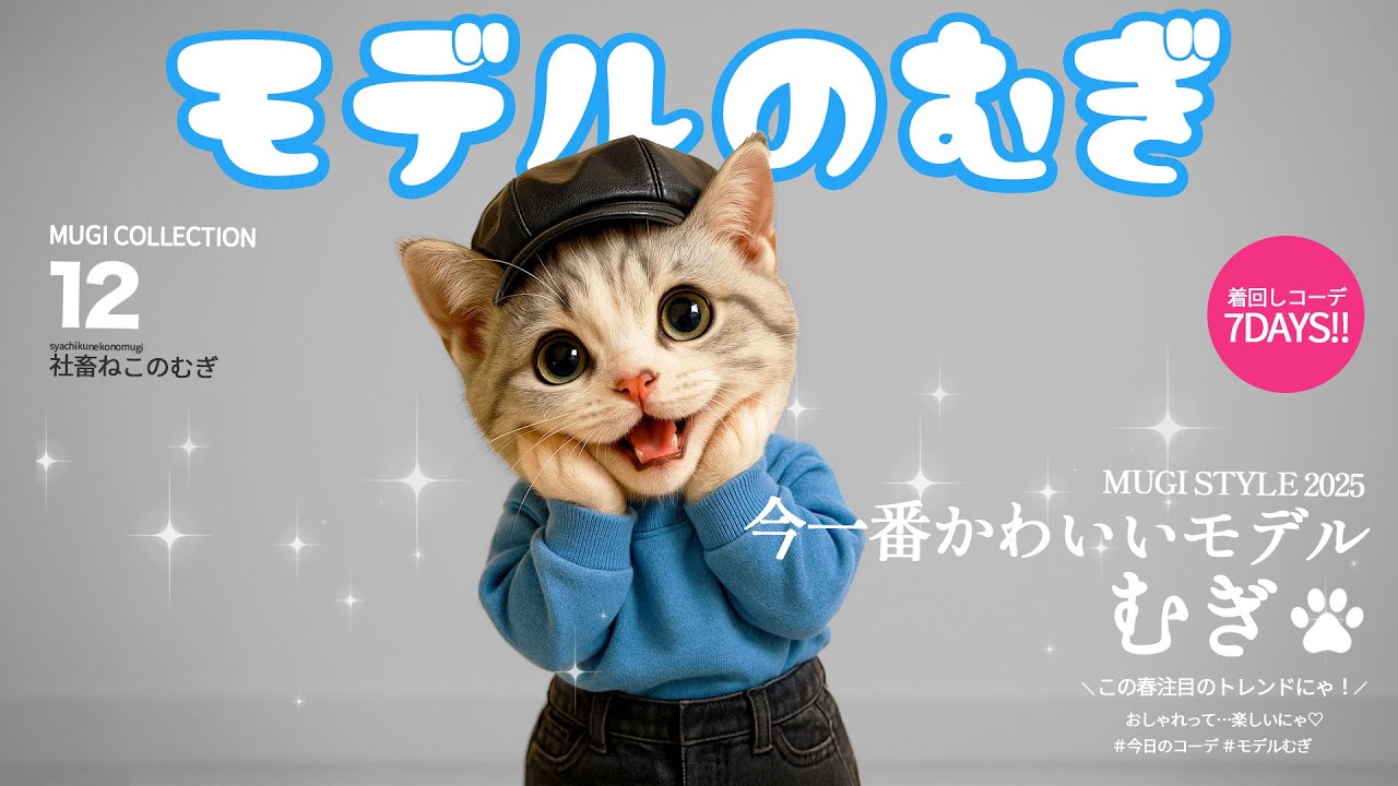 社畜ねこのむぎ】パシャリ!!ファッションモデルになったむぎの一日に