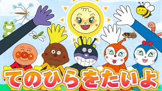 童謡】手のひらを太陽に ☀️ アンパンマンと歌って踊ろう！子どもの歌