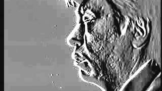 電磁波除去装置 エルマクリーンⅡ（プラグインアース） 特別価格で速攻