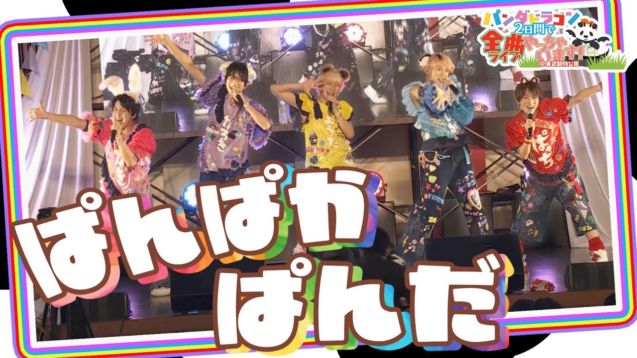 パンダドラゴン ｰ ぱんぱかぱんだ @全曲ライブ - YouTube