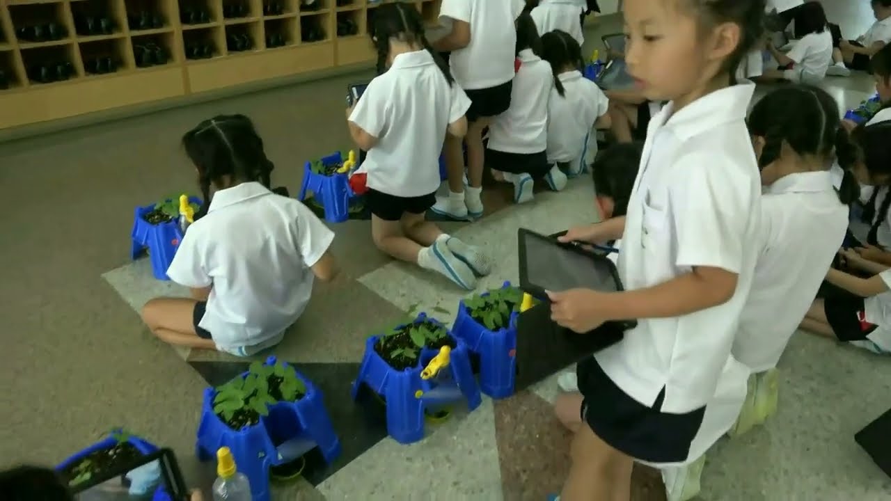 東京女学館小学校