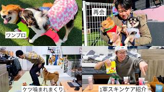 Beautiful Skin] Introducing the skin care routine of a man in his