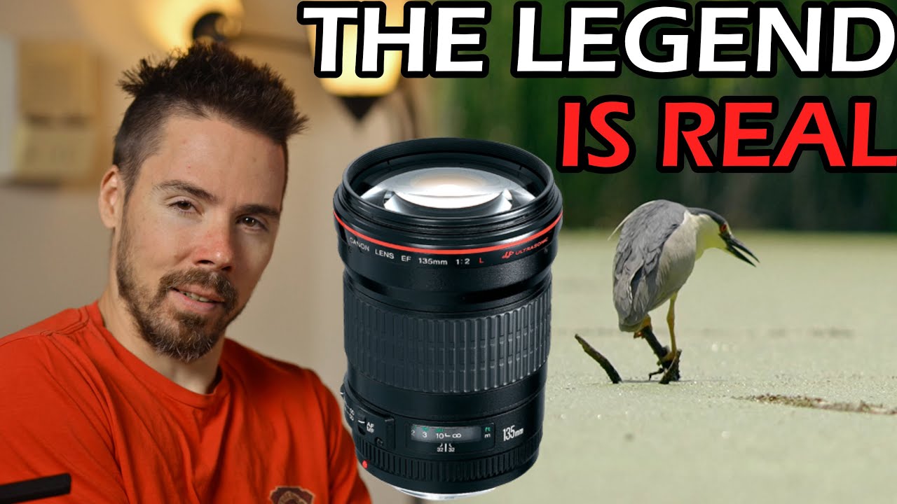The Most Versatile Lens Ever Made (Portraits, Wildlife and More