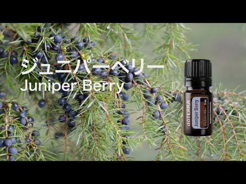 Enjoy Hobby with doTERRA ※*※*※*​​ ​​趣味を楽しむた… - doTERRA TIMES