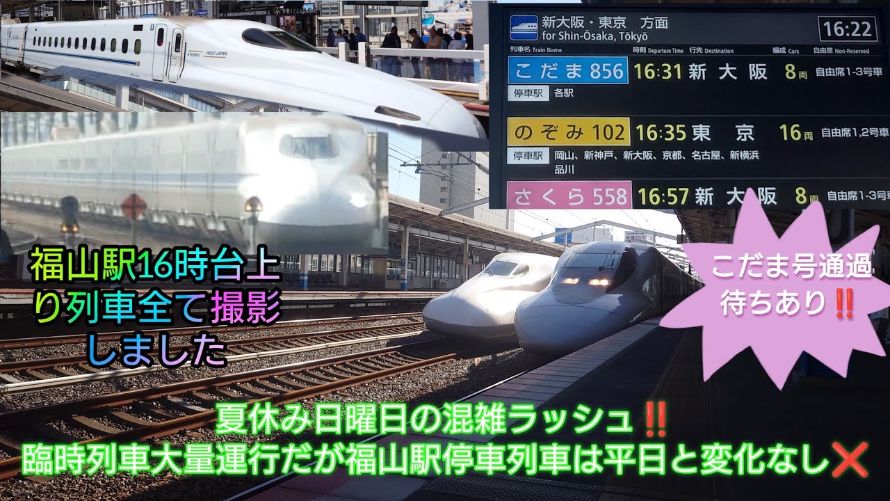 山陽新幹線福山駅・夕方ラッシュ16時台上り停車本数少ない⁉️】こだま
