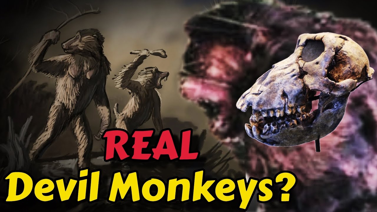 The DEVIL MONKEY: Is This The True Story? - YouTube