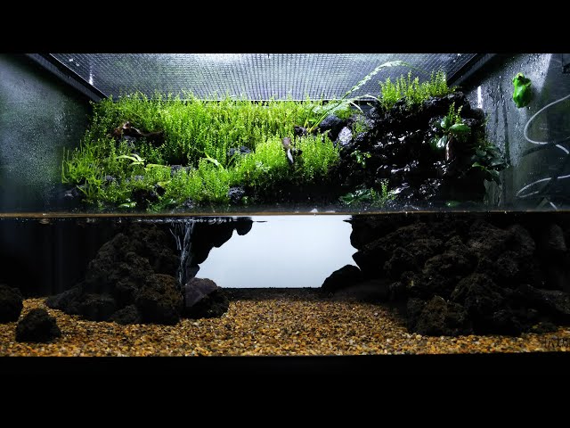 Re.【アカハライモリのイモリウム】立ち上げ/vivarium,paludarium