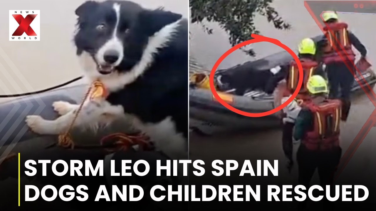 Spain on Alert: Police Save Children and Pets as Floodwaters