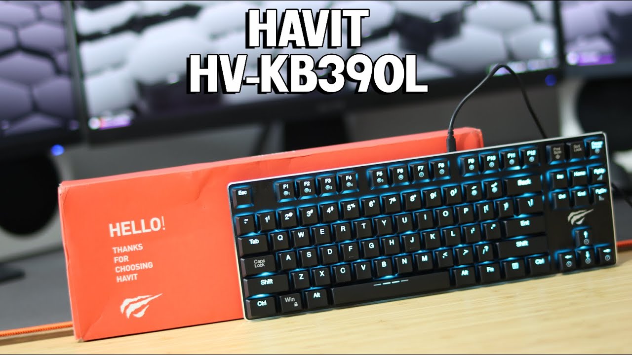 TKL on a Budget - Havit HV-KB390L Mech Keyboard - YouTube