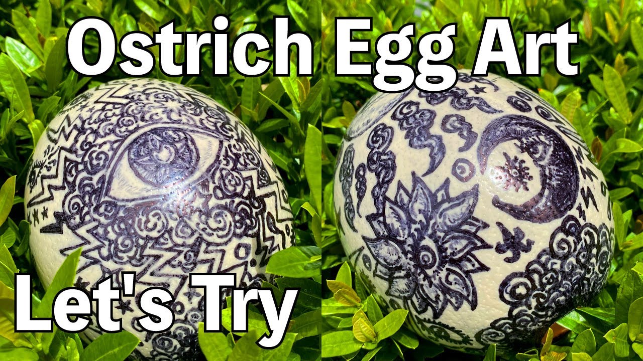 Let's Try Ostrich egg art !!! ダチョウの卵に絵を描いてみた