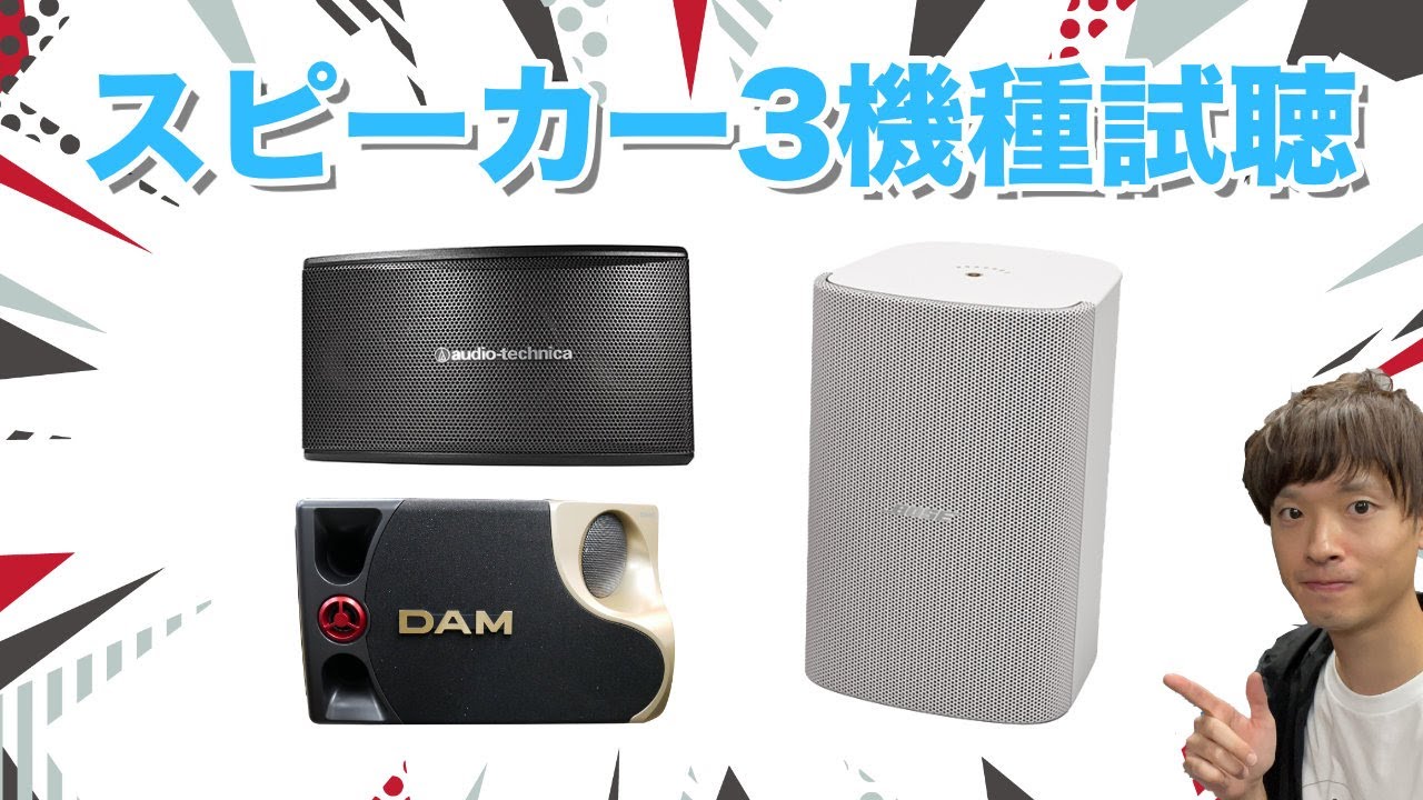 DAMカラオケスピーカー DDS-65G (2本1組)【福山楽器センター】法人