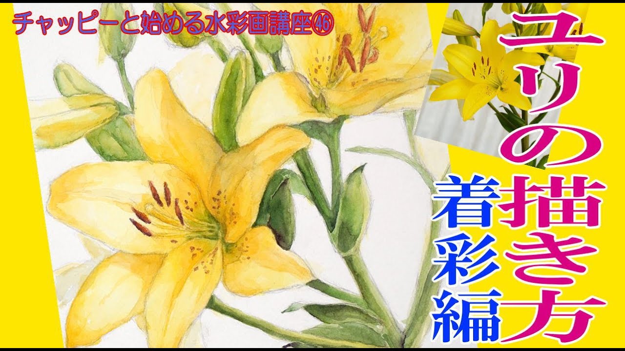 Watercolor painting lesson for beginners ㊻ Drawing lilies (Part 2