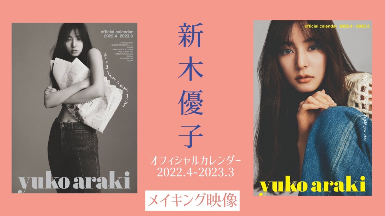 値下げしました】新木優子スタイルブック1冊＋カレンダー6冊 (2冊