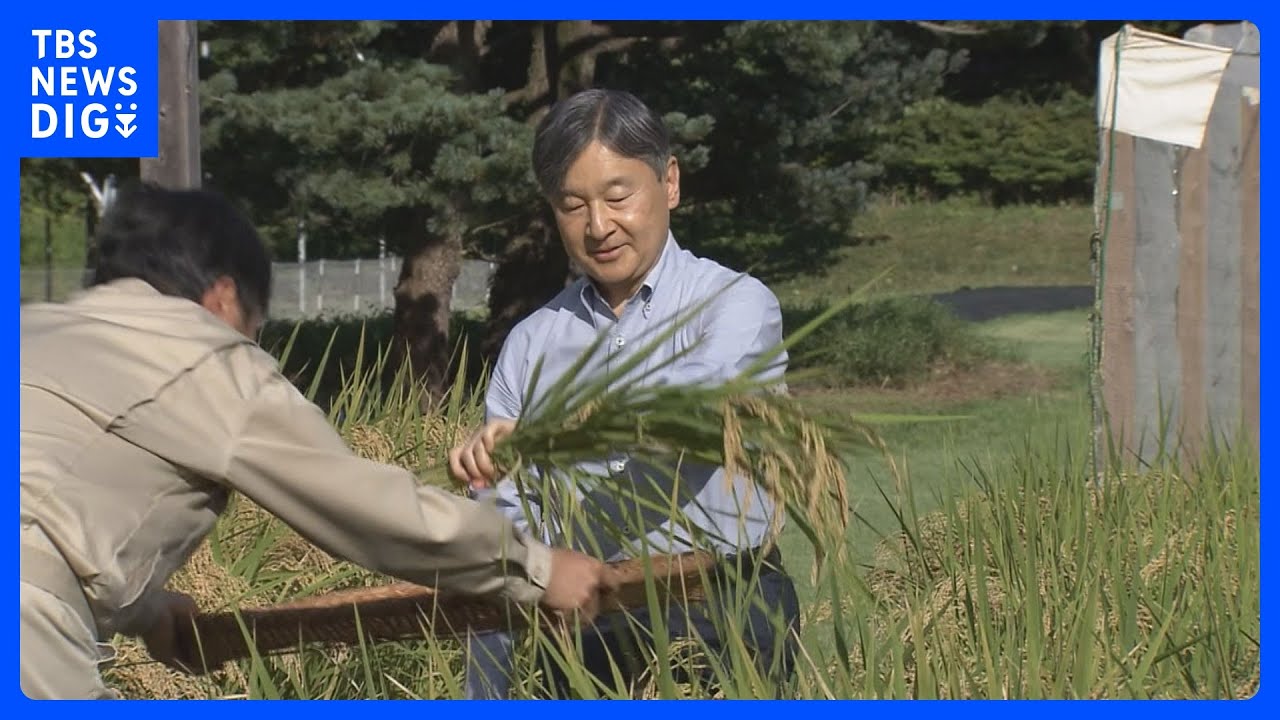 天皇陛下が“長靴姿”で皇居内の水田で稲刈り 猛暑やゲリラ豪雨にめげず