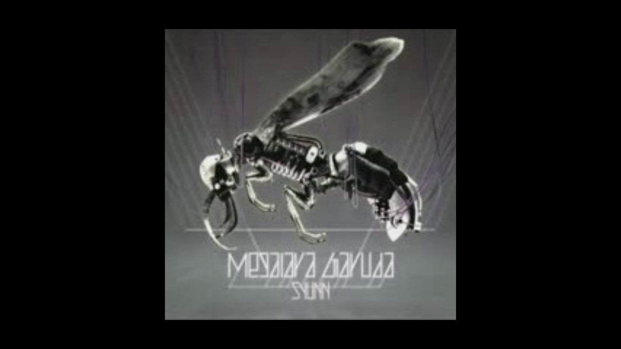 作業用】Megalara Garuda / SYUNN 30分耐久【jubeat】 - YouTube