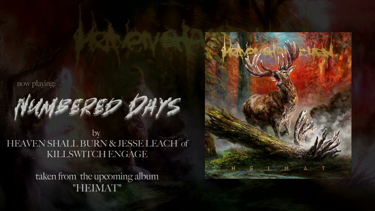 maxresdefault.jpg?sqp=-