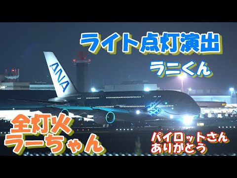 桜満開になって初めてのライト点灯演出に全灯火】2025.04.06 4K撮影