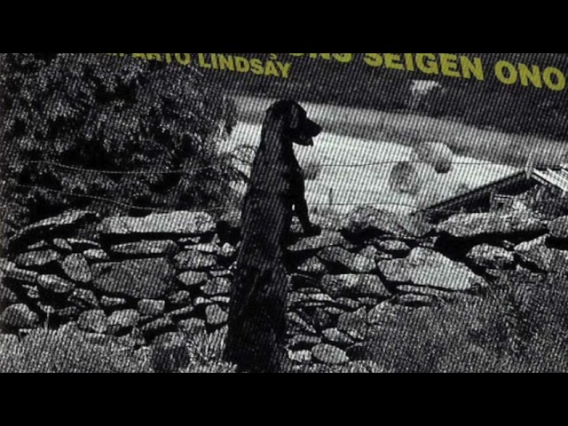 Seigen Ono / Arto Lindsay – Comme Des Garçons + Remix With Arto