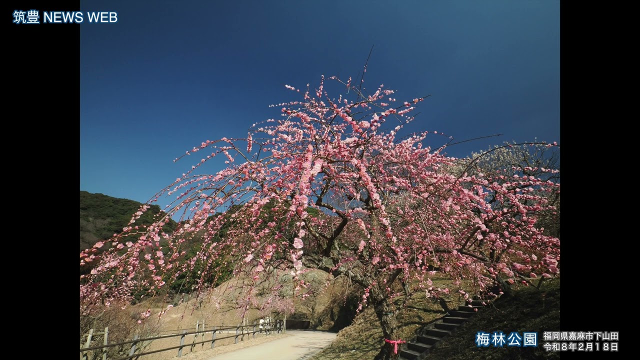 嘉麻市「梅林公園」photo - YouTube