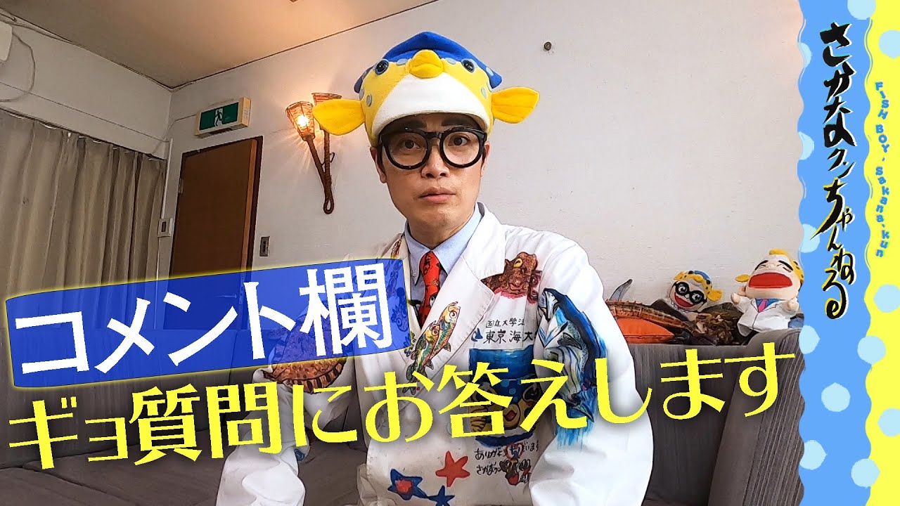 Answering the questions] The first missy Ostraciidae hat is