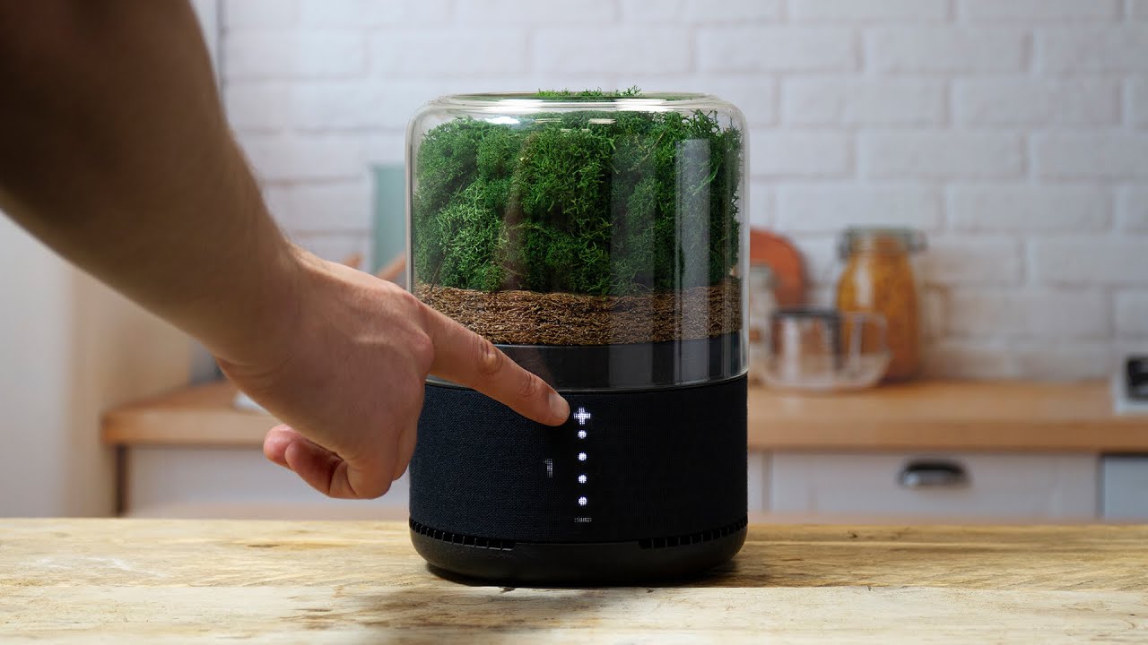 観葉植物3千個分。サステイナブルな小型空気清浄機 「Briiv」を