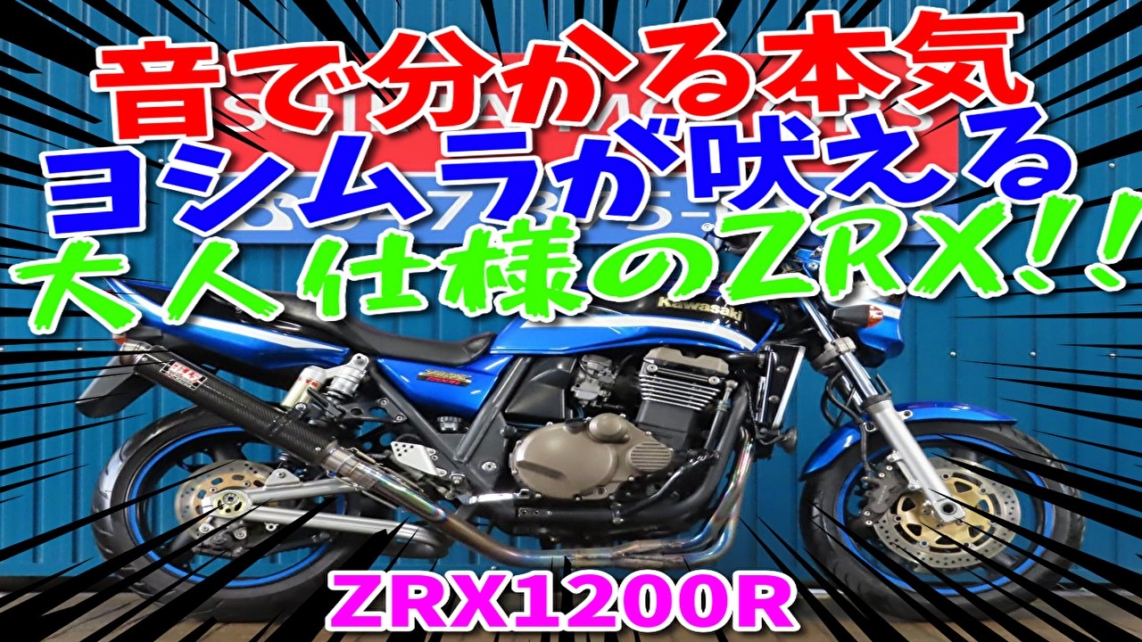 □Shiina Motors Ichikawa Store Base Vehicle□Kawasaki ZRX1200R