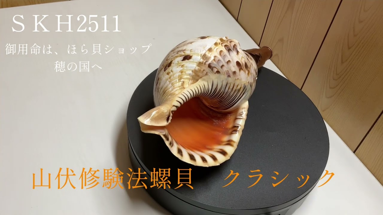 法螺貝（ほら貝）販売のお店