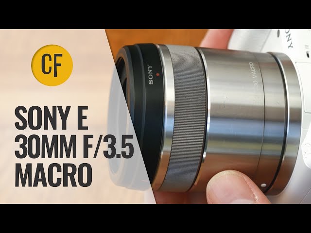 Sony E 30mm f/3.5 Macro lens review with samples - YouTube