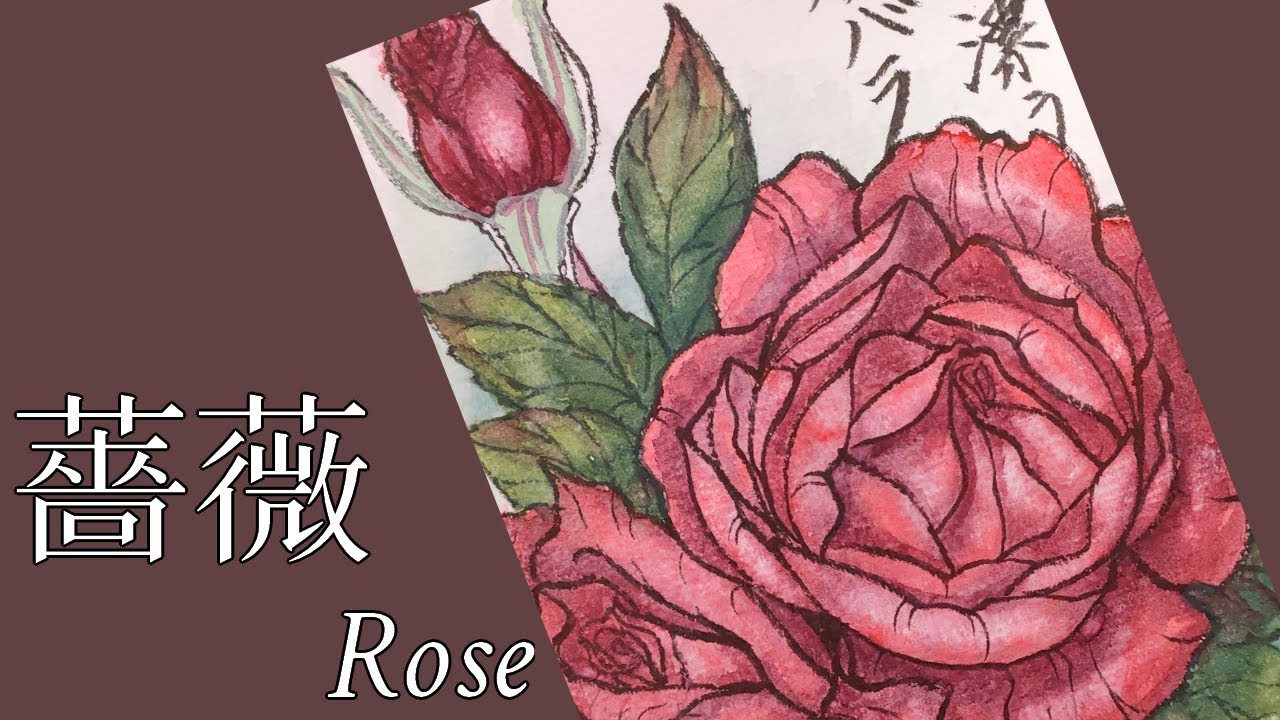 薔薇】#23 【秋の絵手紙】秋の薔薇を描く【画材紹介】 - YouTube