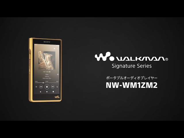 SONY RM-30BPの代わりに（その2 SONY RM-30BPの代わりに SONY RM-30BP