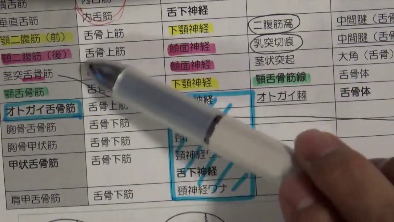 歯科医師国家試験 現役、宅浪生のための（無料配信） ロムニーハウス