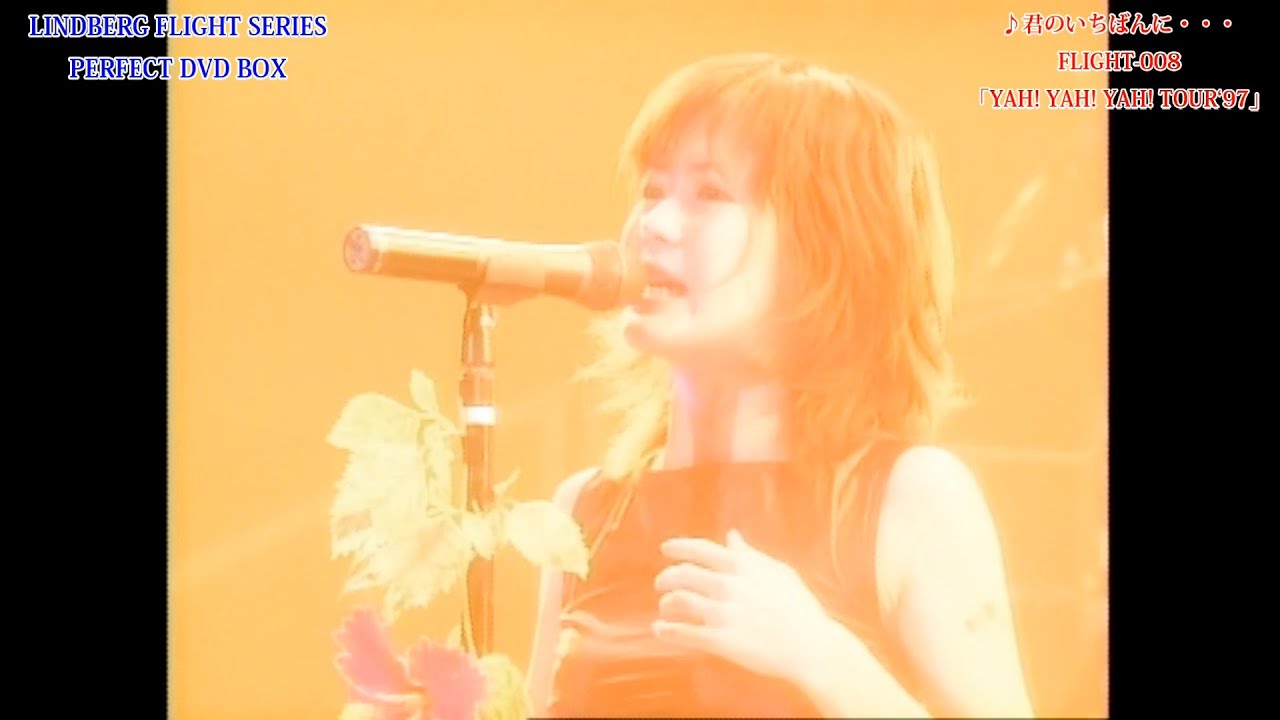 リンドバーグ 現在入手困難な「LINDBERG FLIGHT シリーズ パーフェクト