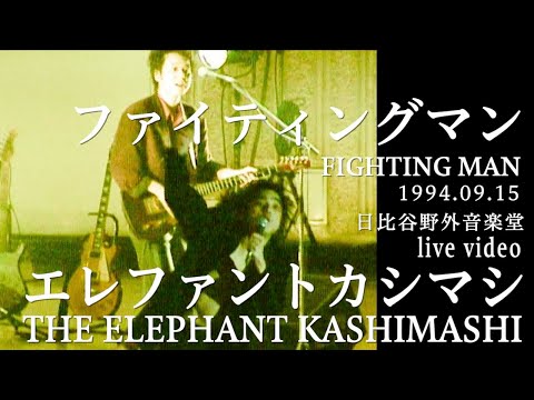 THE ELEPHANT KASHIMASHI 