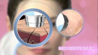 Anemone 超音波美顔器 3Dヘッド Anemone 超音波美顔器 3Dヘッド