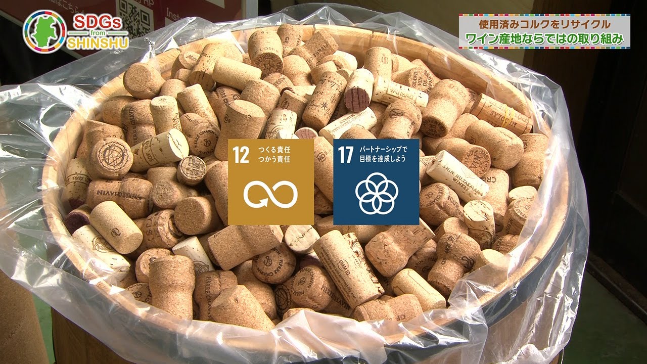 Recycling used cork: 