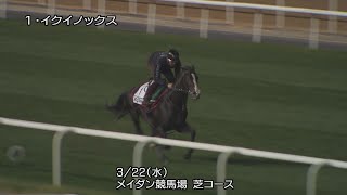 2023ドバイシーマクラシック】イクイノックスなど日本馬3頭の最終追い