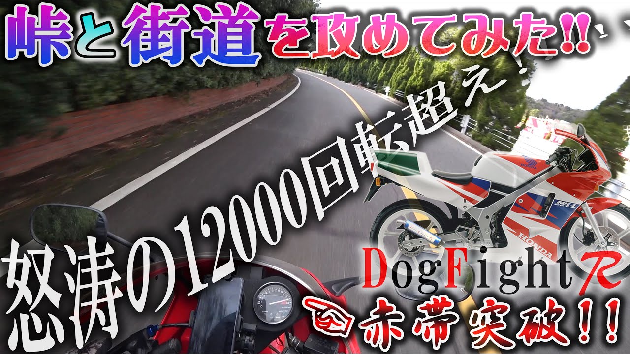 NS-1にDOG FIGHT RACINGチャンバー装着して峠と街をレッドゾーンまで