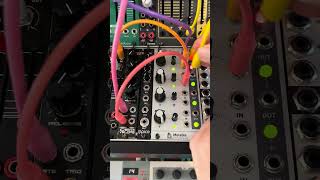 Mutable instruments Blinds - Eurorack Module on ModularGrid