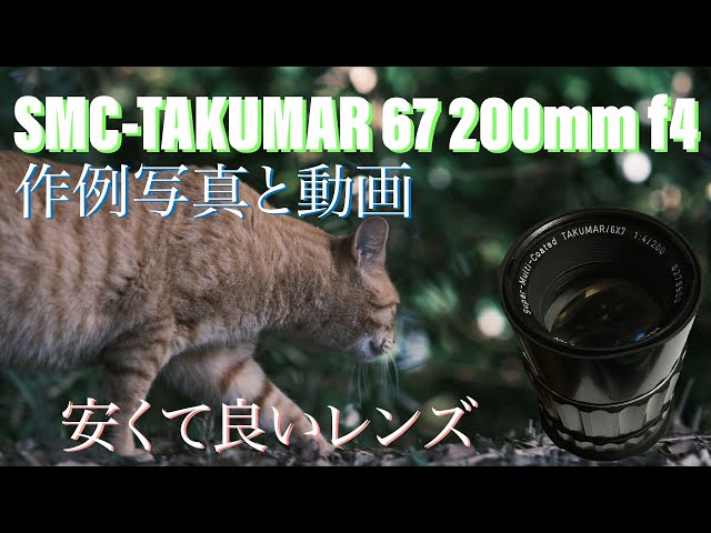 SMC-TAKUMAR 6×7 200mm f4を使ってみた。写真と動画の作例です - YouTube