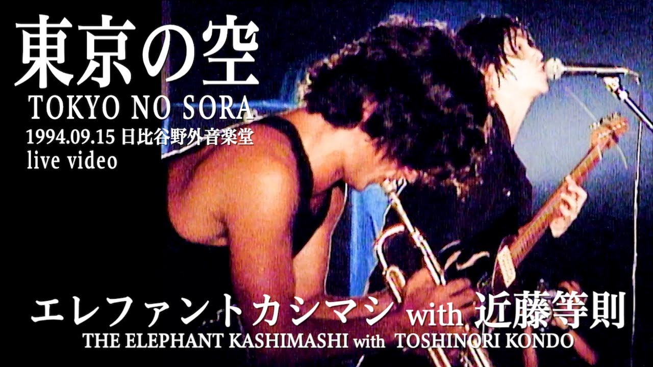 THE ELEPHANT KASHIMASHI 