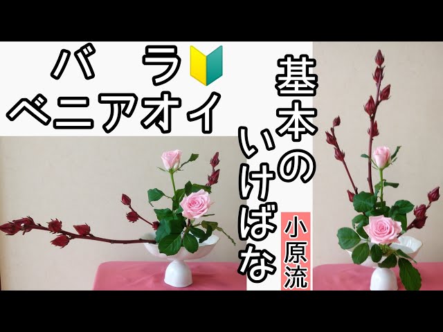 🔰Basic Ikebana, Ohara School of Ikebana, flower designs, standing