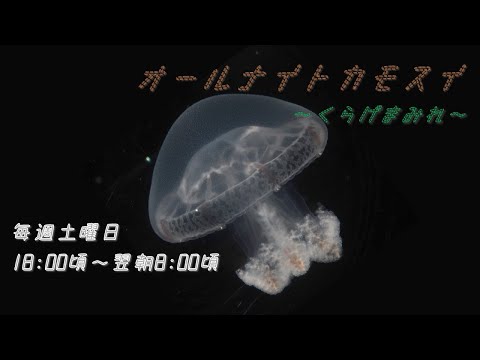 オールナイトカモスイ ～くらげまみれ～ #204 レッドクロスジェリー