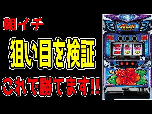 arcさま 専用 パチスロ台 ハイビ30 arcさま 専用 パチスロ台 ハイビ30