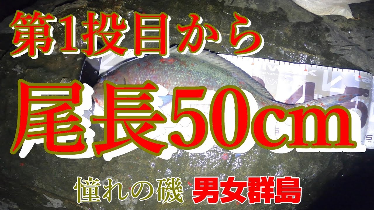 1投目から尾長50cmクラスがHit！憧れの磯男女群島遠征2023その① - YouTube